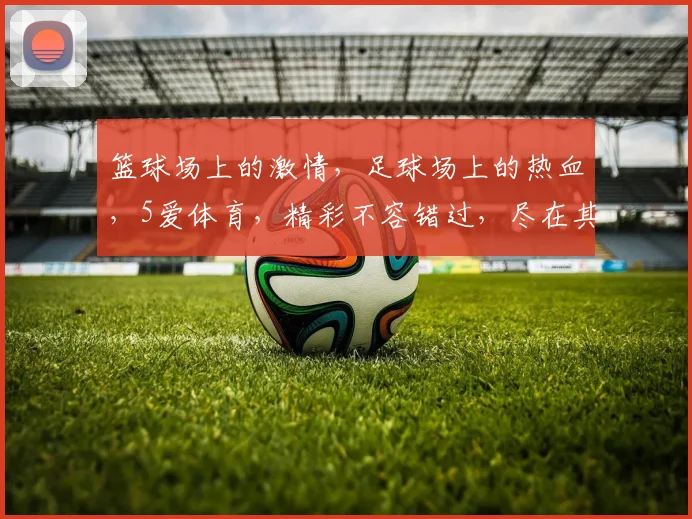 篮球场上的激情，足球场上的热血，5爱体育，精彩不容错过，尽在其中