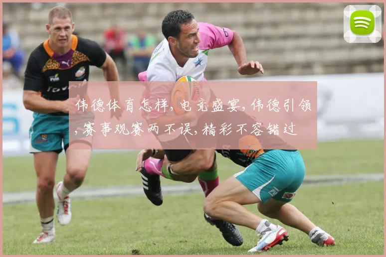 伟德体育怎样,电竞盛宴,伟德引领,赛事观赛两不误,精彩不容错过