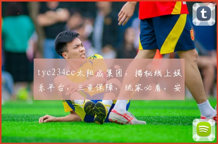 tyc234cc太阳成集团，揭秘线上娱乐平台，三重保障，玩家必看，安全可靠