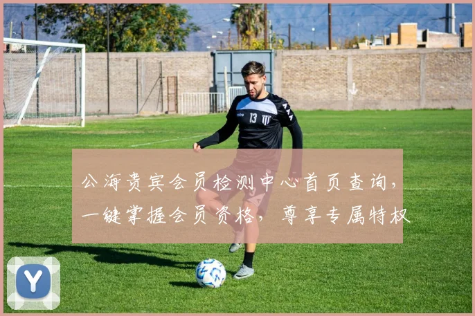 公海贵宾会员检测中心首页查询，一键掌握会员资格，尊享专属特权，详询即享