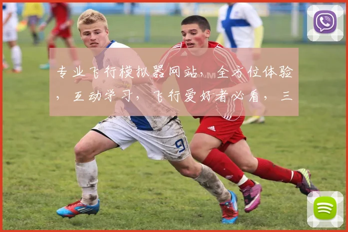 专业飞行模拟器网站，全方位体验，互动学习，飞行爱好者必看，三大亮点，不容错过